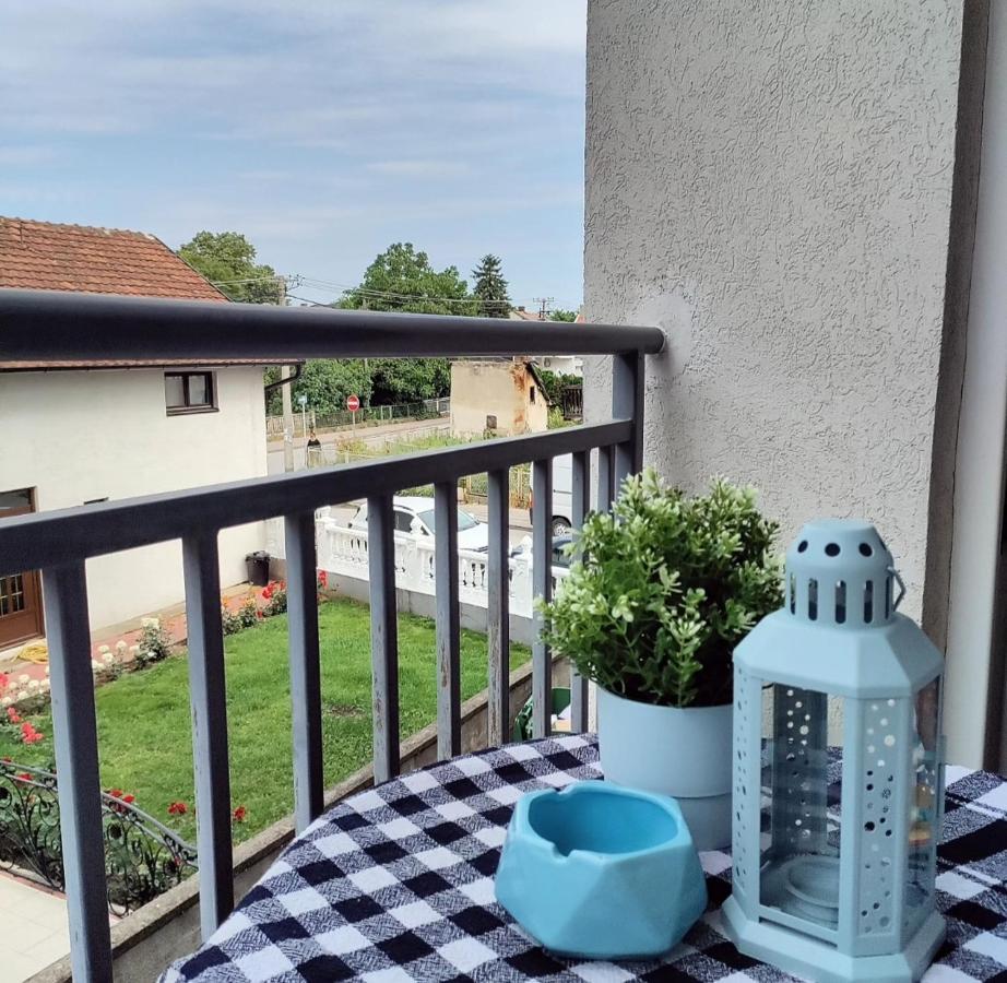 Ferienwohnung Cista Desetka Požarevac Exterior foto